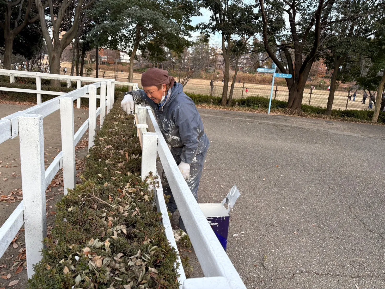 毎年恒例の麻溝公園ボランティア塗装を行いました！